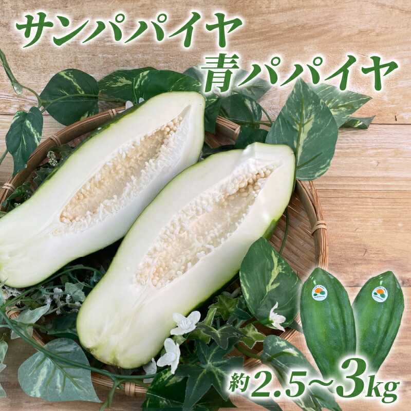 【ふるさと納税】 【予約注文/2025年9月下旬より発送】 サン パパイヤ 青 パパイヤ 約 2.5 kg ～ 3 kg 酵素 野菜 果物 フルーツ パパイア 料理 静岡県 沼津市