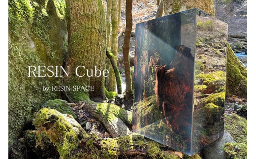 【ふるさと納税】 購入注文お手伝いさん 作物 RESIN Cube 室内装飾 レジン 正六面体 気取らない 静岡県 沼津市 ホテルライク 会社組織 設計者 美術家 今めかしい 素晴らしい 作物 飾りつけ 部屋の入り口