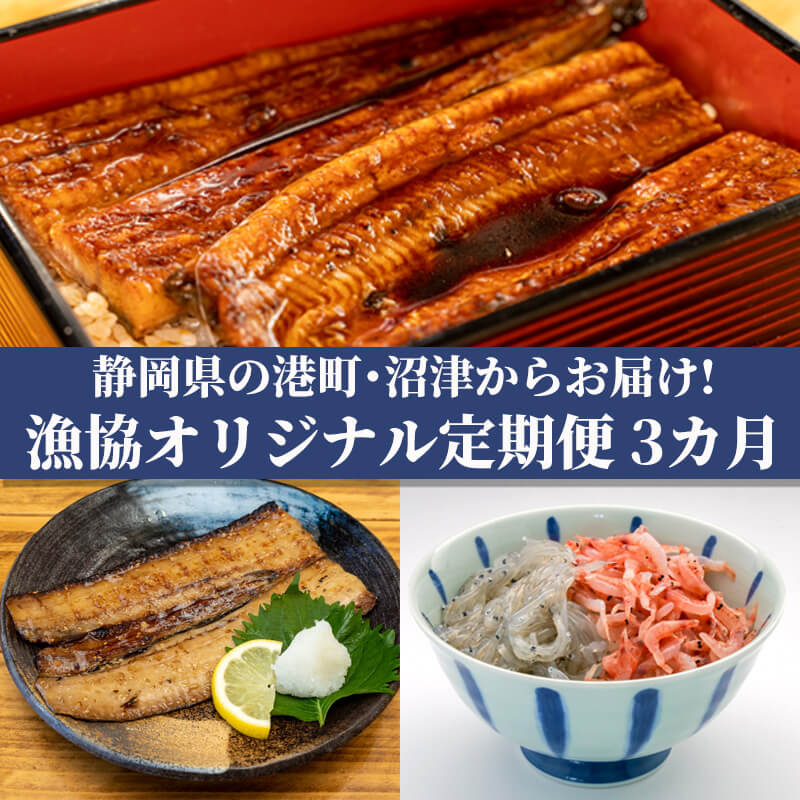 【ふるさと納税】 定期便 3回 オリジナルセット 3種  太刀魚 醤油干し しらす 桜えび うなぎ 蒲焼 漁業協同組合