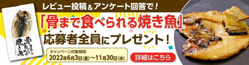 楽天市場】【ふるさと納税】 訳あり 干物 4.5kg 詰め合わせ セット ホッケ 金目鯛 アジ サバ カレイ イカ 赤魚 醤油干し フィレ 冷凍 ひもの  規格外 不揃い 沼津 : 静岡県沼津市