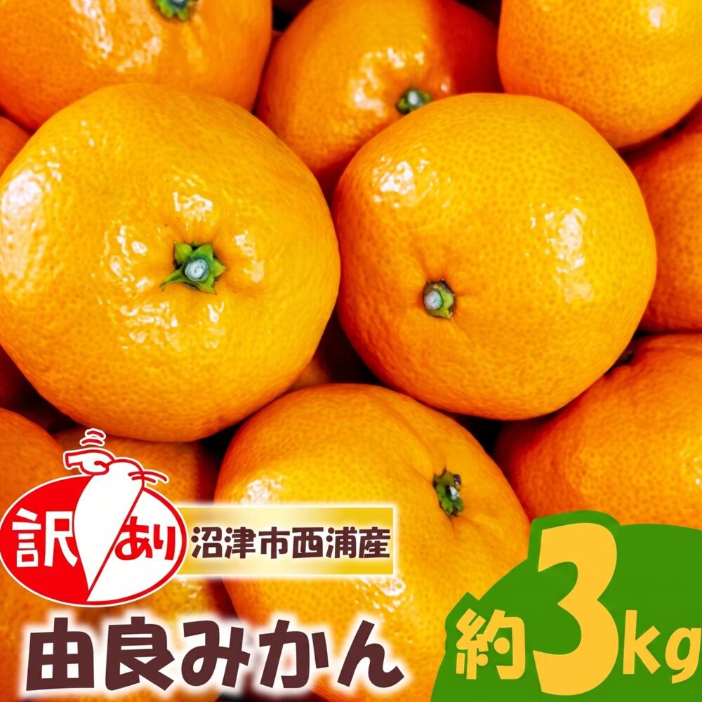 【ふるさと納税】 訳あり 由良 みかん 3kg 産地直送 予約受付 柑橘 みかん フルーツ 果物 蜜柑 中玉 時期 旬 季節限定 西浦 おいしい 丸榮 国産 静岡 沼津 ご家庭用｜静岡県沼津市