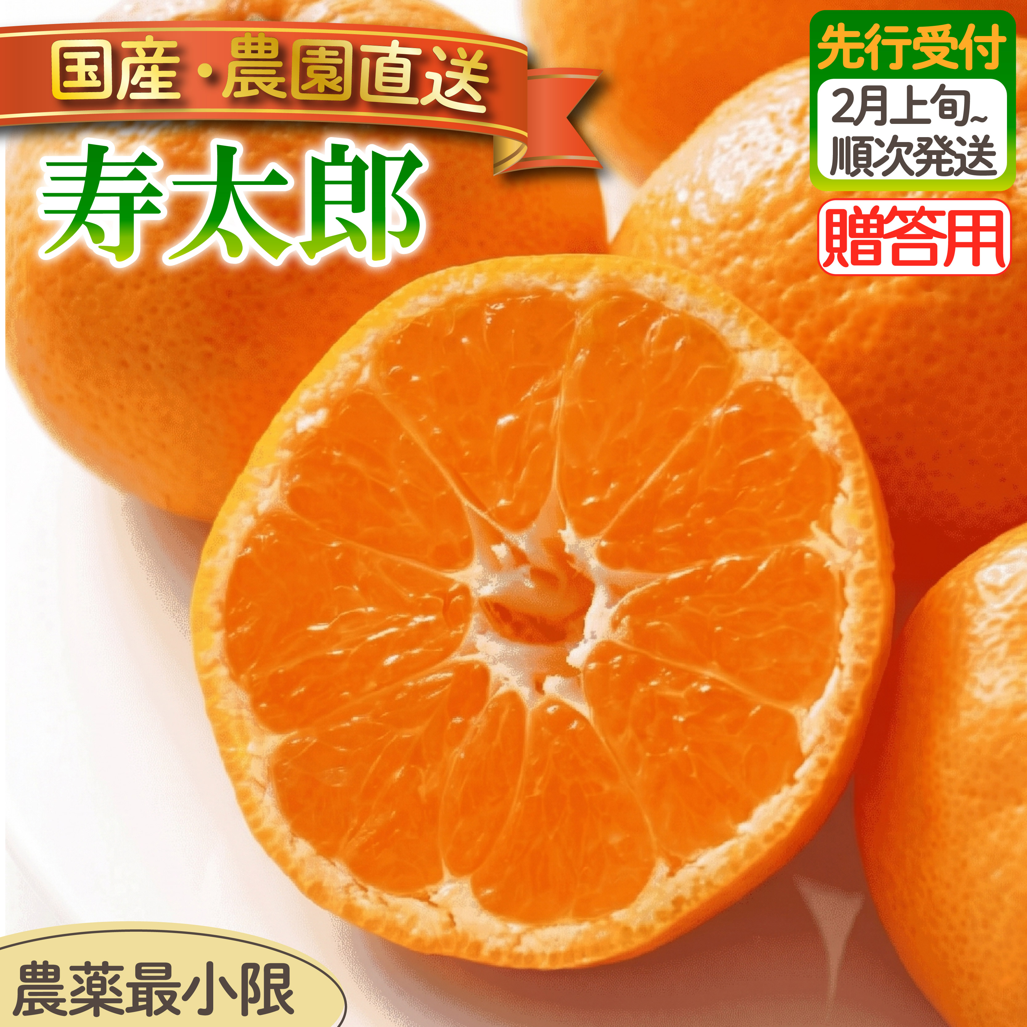 【ふるさと納税】 贈答用 寿太郎 みかん 3kg 5kg 選べる容量 | 木負観光みかん園 ミカン オレンジ 蜜柑 柑橘 フルーツ 旬 果物 国産 産地直送 季節限定 西浦 沼津市 静岡県｜静岡県沼津市