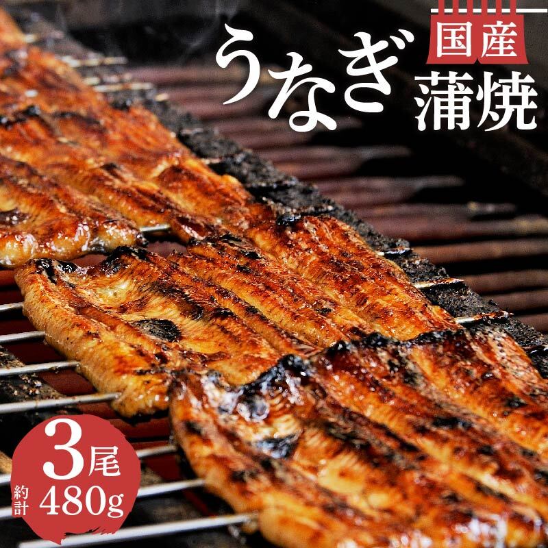 【ふるさと納税】 うなぎ 蒲焼 国産 鰻 3尾 480g セット 真空 小分け 丑の日 うなよし ウナギ カバヤキ 土用 夏 スタミナ 栄養 高タンパク 贈り物 ギフト 贈答用 グルメ 食品 調理簡単 沼津市 静岡県