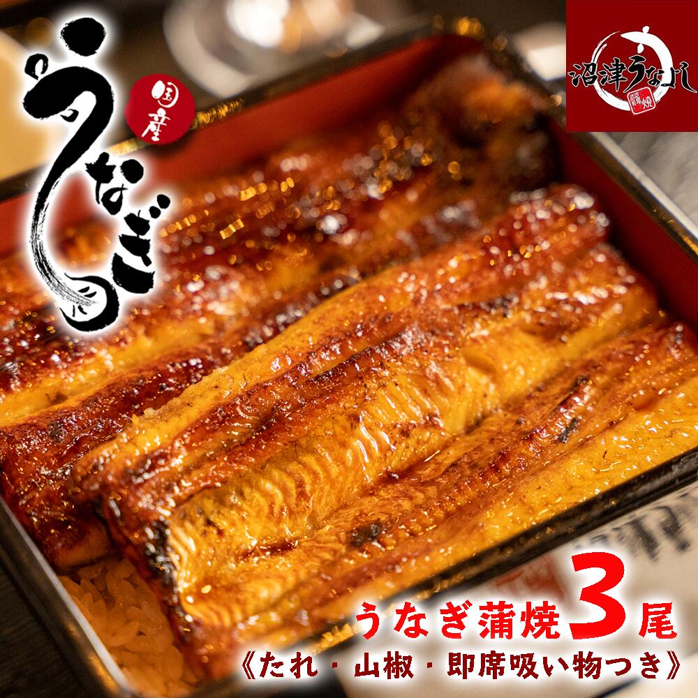 ふるさと納税 国産うなぎ蒲焼3尾セット Emescla Com Br