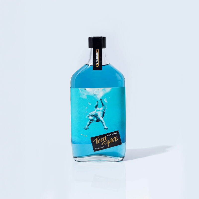 【ふるさと納税】 【三島製造クラフトジン】Teen Spirits(ティーン スピリッツ)2本 -Whiskey&Co.-|静岡県三島市