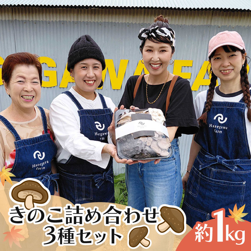 【ふるさと納税】 きのこ 詰め合わせ セット 3種 約1kg ひらたけしめじ エリンギ ヒラタケ プルーロット 野菜 エリンギ バター きのこ ご飯 三島市 静岡県