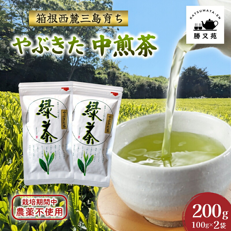 【ふるさと納税】 緑茶 やぶきた 中煎茶 200g (100g×2袋) 国産 栽培期間中 農薬不使用 煎茶 日本茶 茶葉 お茶 セット 静岡産 贈答 プレゼント ギフト 箱根西麓 勝又苑 静岡県 三島市