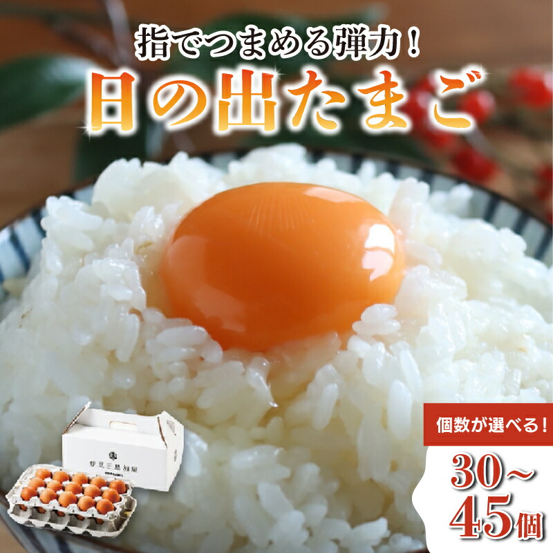 【ふるさと納税】 日の出たまご 《選べる容量》 30～45個入り 卵 たまご 生卵 玉子 鳥 鶏 箱根西麓 三島ブランド 濃厚 黄身 白身 ゆで卵 卵かけごはん オムレツ 贈り物 ギフト 養鶏場 平飼い 発酵飼料 富士 伏流水 弾力 たまごかけごはん 黄身 三島市 静岡県