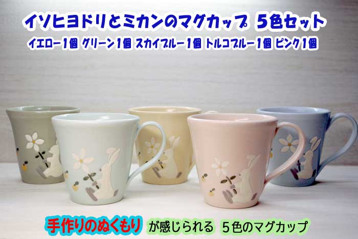 【ふるさと納税】イソヒヨドリと紅ミカンのカップ5色書き割り(黄色1個、緑であること1個、天の原青碧1個、トルコ青碧1個、さくら色1個)