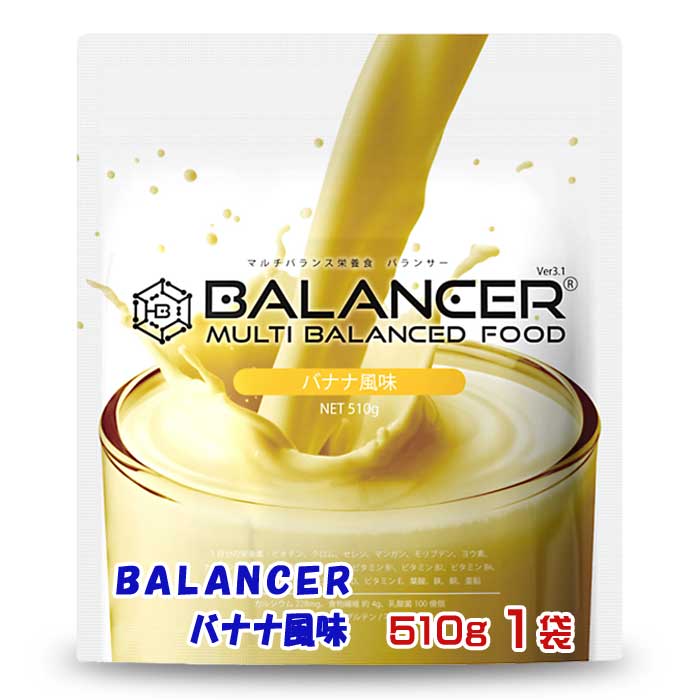 【ふるさと納税】BALANCER バナナの木味わい 510g1袋