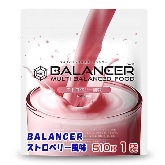 【ふるさと納税】BALANCER オランダ苺味わい 510g1袋