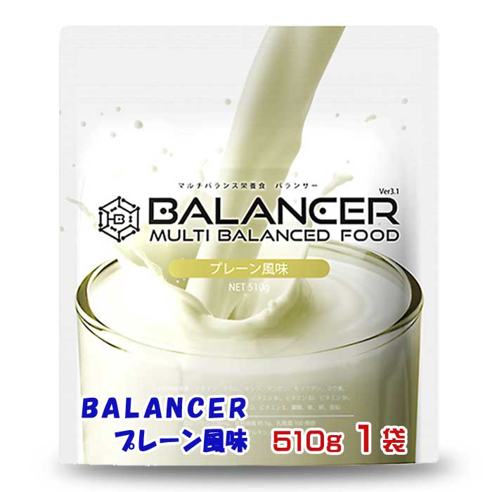【ふるさと納税】BALANCER 飾り気の無い味わい 510g1袋