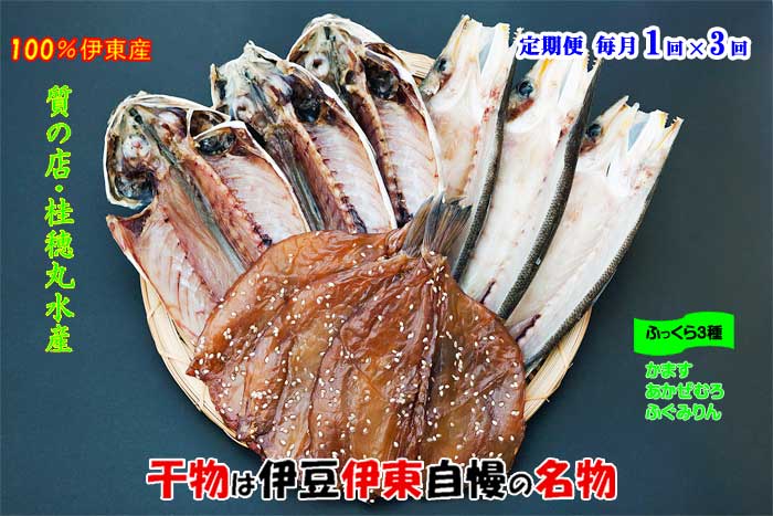 W03【ふるさと納税】【定期便 全3回】伊豆･伊東 桂穂丸干魚店 ひもの詰合せ 毎月1回&times;3回｜静岡県伊東市 24,480円