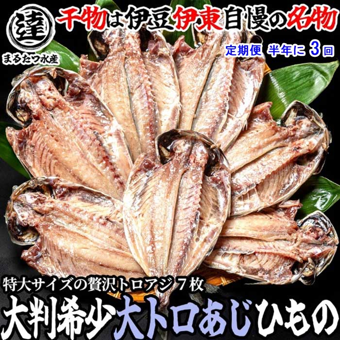 G3*【ふるさと納税】【定期便 全3回】伊豆・伊東 丸達水産 脂の乗りが違う!絶品とろあじ7枚セット 半年に3回