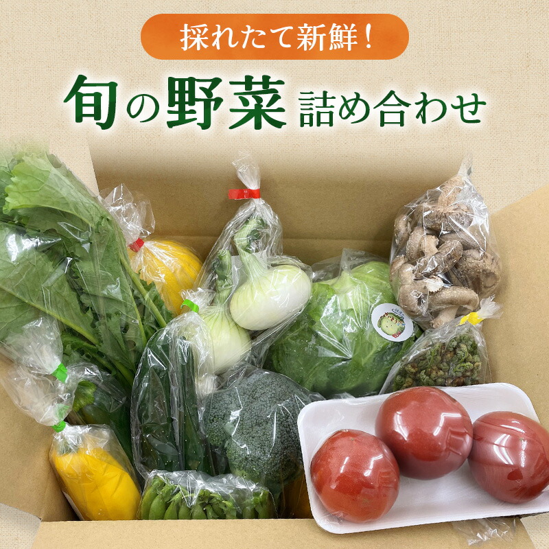 【ふるさと納税】新鮮獲れたて！ まんさいかん島田 季節の野菜詰め合わせ セット 　 野菜セット 旬の野菜 旬 野菜詰め合わせ 野菜詰め合わせセット 産地直送 静岡 島田市