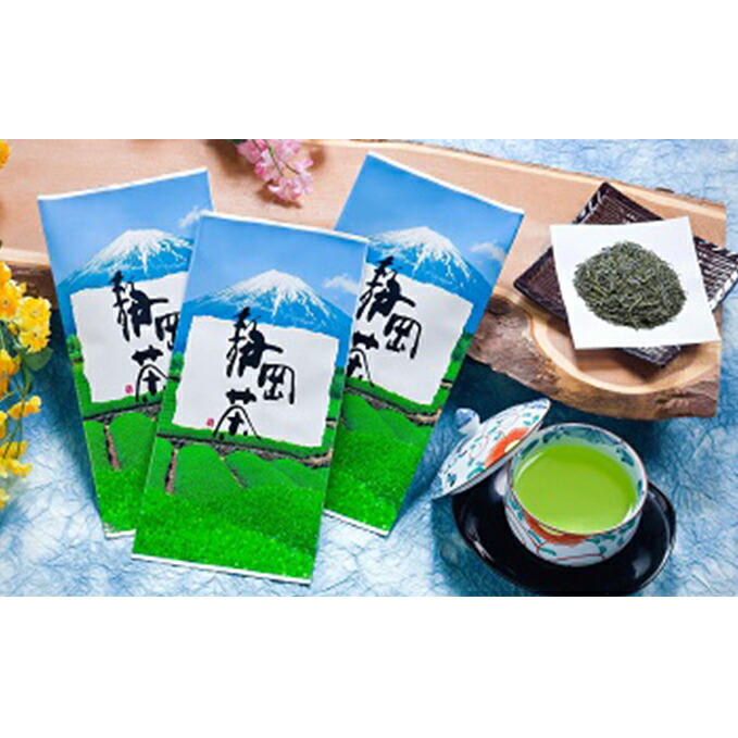 【ふるさと納税】静岡の深むし茶100g×10袋 飲料類 お茶