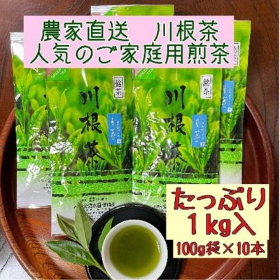 【ふるさと納税】川根茶 ご家庭用 普通煎茶やまびこ１kg (100g袋×10袋セット) お茶 緑茶 川根産 南アルプス 高級茶 自家製茶園 1kg 13,490円