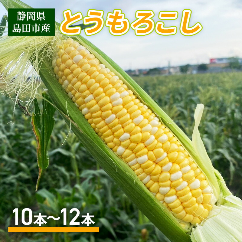 【ふるさと納税】【2025年6月上旬より順次発送】静岡県島田市産 とうもろこし 10本～12本【配送不可：北海道・沖縄・離島】　お届け：2025年6月上旬～2025年6月下旬