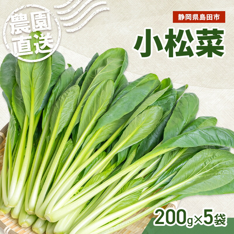 【ふるさと納税】静岡県島田市産 小松菜200g×5袋　野菜 やさい こまつな 旬 国産 産地直送 詰合せ 静岡県 島田市
