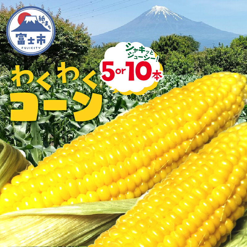 【ふるさと納税】 トウモロコシ わくわくコーン 5本/10本 期間限定 数量限定 糖度15度以上 ジューシー 甘い スイートコーン 野菜 新鮮 朝採り クール便 冷蔵発送 静岡県 富士市 【6月中旬～7月中旬頃に順次発送】 [sf001-094] [sf001-341]