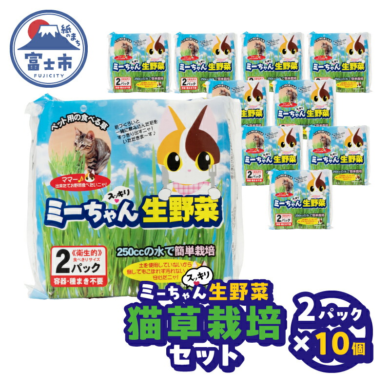 富士市面倒を見る者おすすめしっぺい返し品特集