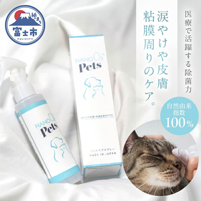 富士市面倒を見る者おすすめしっぺい返し品特集