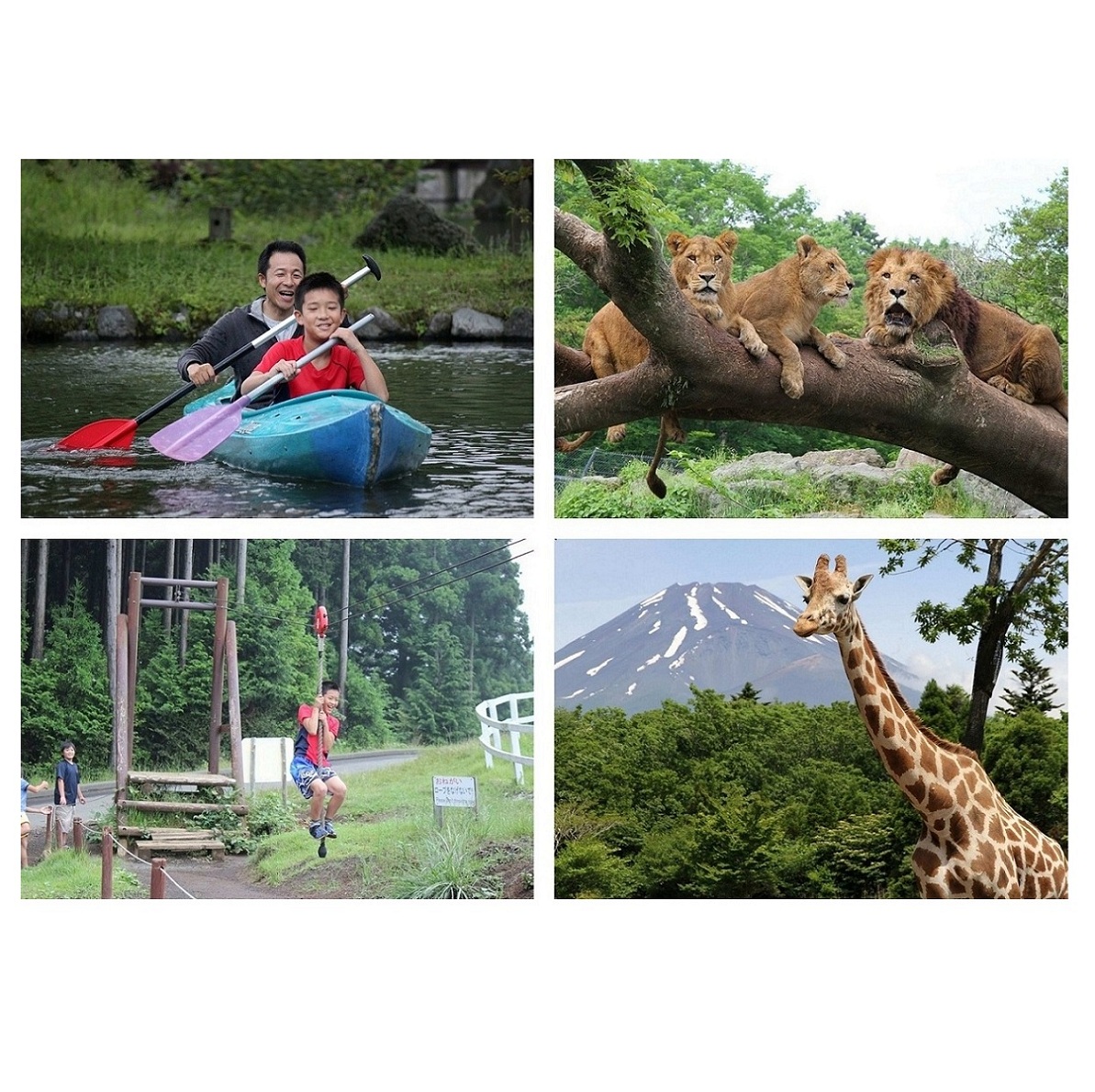 最先端 1090富士山こどもの国おとな入園券 富士サファリパーク入園券 レビューで送料無料 Vancouverfamilymagazine Com