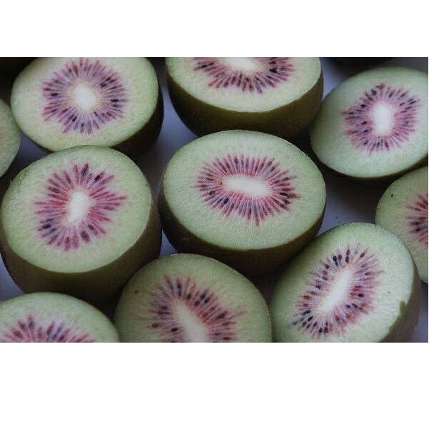 ふるさと納税 1101キーウィフルーツ レインボー赤色 3kg 2筐 Mattschofield Com