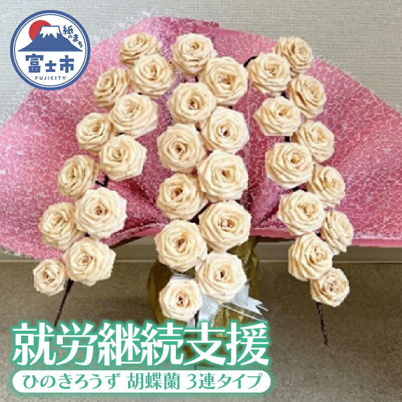 富士市面倒を見る者おすすめしっぺい返し品特集