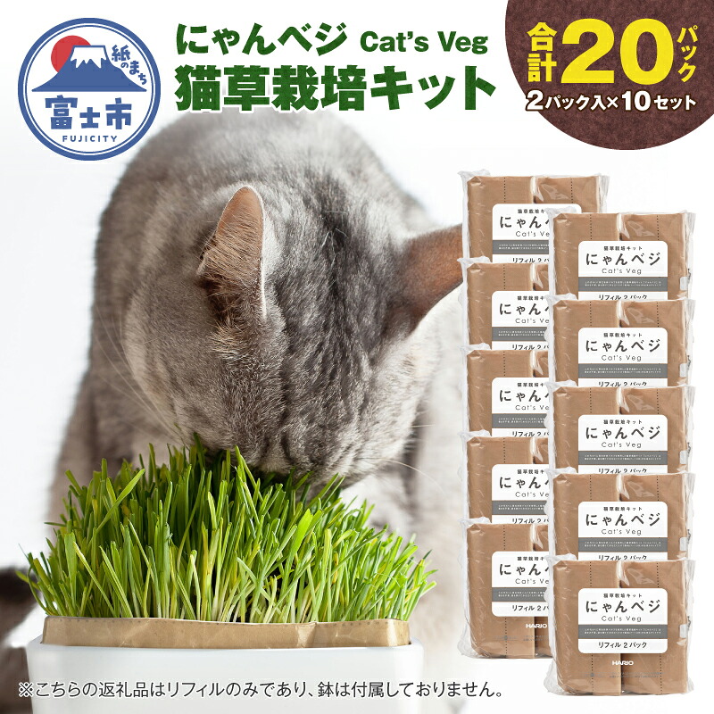 富士市面倒を見る者おすすめしっぺい返し品特集
