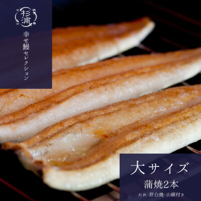 【ふるさと納税】幸せ鰻セレクション【S】【配送不可地域：離島】【1604148】