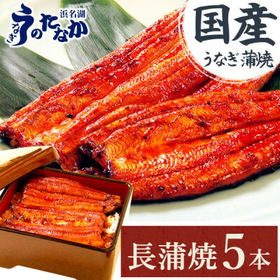 【ふるさと納税】浜名湖・うなぎのたなかの長蒲焼き5本セット!ふっくら柔らか♪国産うなぎ長蒲焼※合計900g程度【配送不可地域：離島】【1607912】