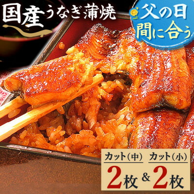【ふるさと納税】浜名湖・うなぎのたなかのふっくら柔らか♪国産うなぎカット蒲焼(中)2枚(小)2枚※合計290g程度_ うなぎ ウナギ 鰻 かば焼き 蒲焼き 人気 美味しい 静岡県 ふるさと 国産 浜名湖 静岡 個包装 小分け 簡単調理 【配送不可地域：離島】【1417534】