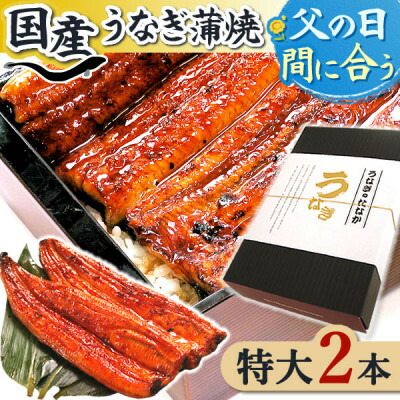 【ふるさと納税】浜名湖・うなぎのたなかの長蒲2本ギフト!ふっくら柔らか♪国産うなぎ長蒲焼※合計360g程度_ ウナギ 鰻 うなぎ かば焼き 蒲焼き 人気 美味しい 国産 浜名湖 産地直送  個包装 ギフト 贈答 専門店 冷凍 【配送不可地域：離島】【1417592】