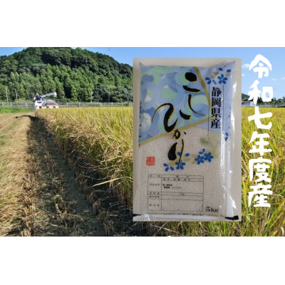 【ふるさと納税】静岡こしひかり 精米 5kg【1680074】｜静岡県磐田市 15,540円