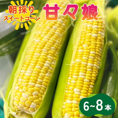 【ふるさと納税】【2026年6月～7月順次発送】とうもろこし 6本 甘々娘(A品) 朝採り スイートコーン【配送不可地域：離島・北海道・沖縄県・東北・中国・四国・九州】【1713797】