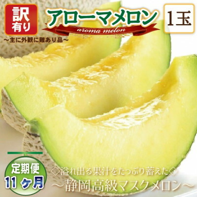 【ふるさと納税】【毎月定期便】【高級メロンの訳あり品】アローマメロン1玉全11回【配送不可地域：離島・北海道・沖縄県】【4071928】