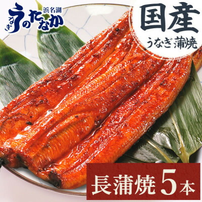 【ふるさと納税】浜名湖・うなぎのたなかのふっくら柔らか♪国産うなぎ見た目も美しい長蒲焼5本※合計450g程度_ 鰻 うなぎ 国産 蒲焼 浜名湖 老舗 人気 おすすめ 送料無料 贈答 ギフト 冷凍 うなぎのたなか 【配送不可地域：離島】【1417591】