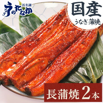【ふるさと納税】浜名湖・うなぎのたなかのふっくら柔らか♪国産うなぎ見た目も美しい長蒲焼2本※合計180g程度_ うなぎ 鰻 ウナギ 国産 蒲焼き 蒲焼 人気 美味しい ふるさと 【配送不可地域：離島】【1417607】