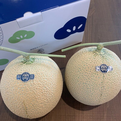 【ふるさと納税】訳あり静岡温室マスクメロン2個入_ メロン マスクメロン めろん ますくめろん 訳あり 2個 大玉 温室 果物 くだもの フルーツ 甘い デザート 産直 産地直送 家庭用 自宅用 静岡県 送料無料 【配送不可地域：離島・北海道・沖縄県】【1438410】