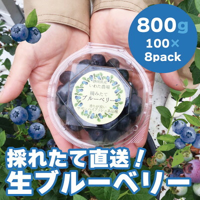 【ふるさと納税】【令和8年5月 順次発送】完熟ブルーベリー生果実・800g　静岡県磐田市産_ ブルーベリー ベリー 完熟 国産 生 果実 果物 くだもの フルーツ デザート 甘い 朝食 スムージー 産直 産地直送 冷蔵 静岡県 送料無料 【配送不可地域：離島】【1444673】