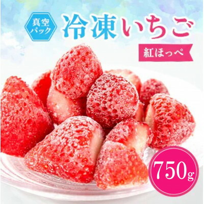 【ふるさと納税】冷凍イチゴ『紅ほっぺ』250g×3袋【配送不可地域：離島】【1573830】