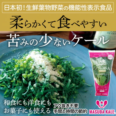 【ふるさと納税】【毎月定期便】やわらかくて食べやすい苦みの少ないケール【静岡県磐田市産 特別栽培】全6回_ ケール 野菜 スーパーフード やさい 食物繊維 カルシウム サラダ パスタ スムージー 定期便 全6回 産地直送 冷蔵 送料無料 【配送不可地域：離島】【4003775】