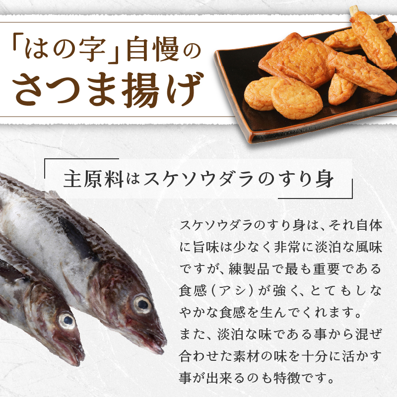 【ふるさと納税】a10-546訳あり焼津産さつま揚げ5袋セット合計2.2kg以上