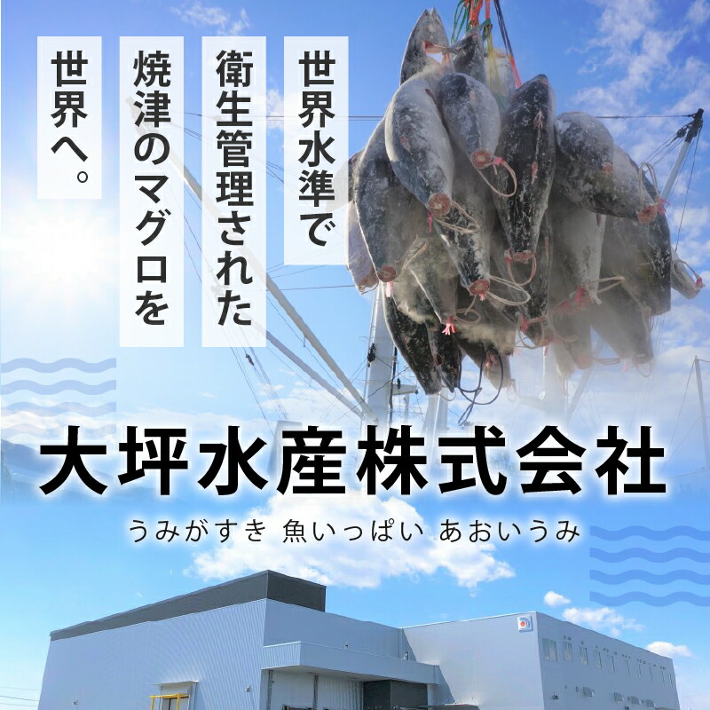 【ふるさと納税】 【総合1位獲得】 【発送時期が選べる】 ネギトロ まぐろ 天然 鮪 小分け 計1.4kg 100g×14個 セット S4 魚 焼津 ねぎとろ丼・手巻き寿司に おいしい 総合1位獲得 ランキング a12-150