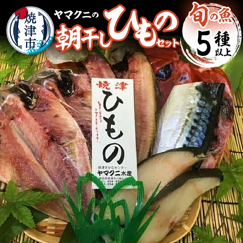 【ふるさと納税】 干物 朝干し セット 5種以上 おまかせ 旬 天然 魚 塩糀漬け 無添加 冷蔵 焼津 干したて a10-431