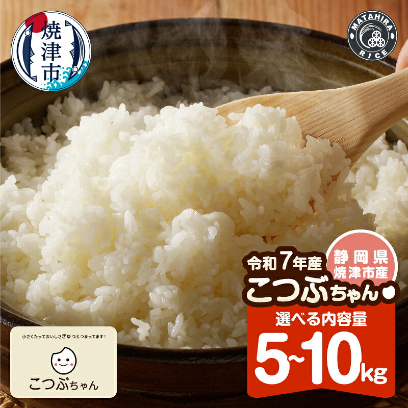 【ふるさと納税】 急上昇! 10日以内発送! 令和7年産 白米 米 【選べる内容量】 5kg 10kg おいしく節約 節約 しあわせごはん お米の小粒ちゃん 小粒 老舗米屋 ごはん 焼津 ランキング a07-178:静岡県焼津市