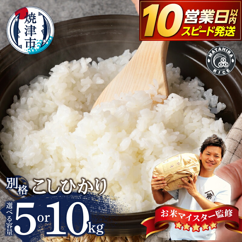 【ふるさと納税】 急上昇！ 10日以内発送！ こしひかり 令和7年産 【選べる内容量】 米 白米 5kg 10kg 1袋 5Kg×2 ごはん 老舗 米屋 ツヤ 香り 粘り 精米したて 別格 焼津 静岡 コシヒカリ ランキング a10-1337 a18-122：静岡県焼津市