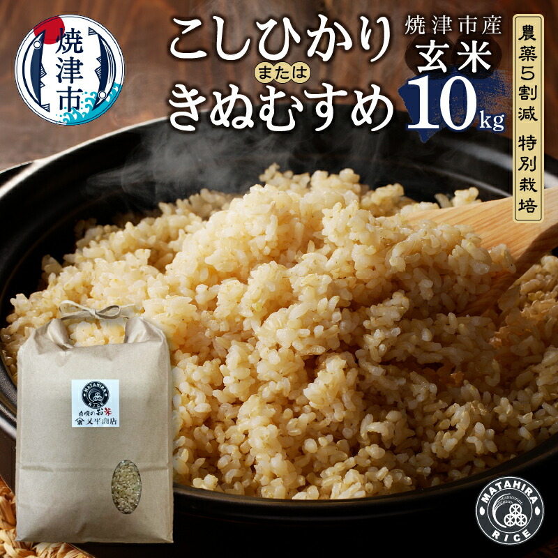【ふるさと納税】 数量限定 米 玄米 コシヒカリ きぬむすめ 10kg (5kg×2袋) 農薬5割減 特別栽培 安心 安全 こだわり 減農薬 ごはん 焼津 a44-008