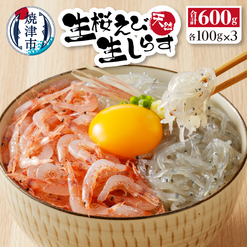 【ふるさと納税】 生しらす 生桜えび 各100g×3 冷凍 急速凍結 刺身 駿河湾産 焼津 詰合せ セット a14-038